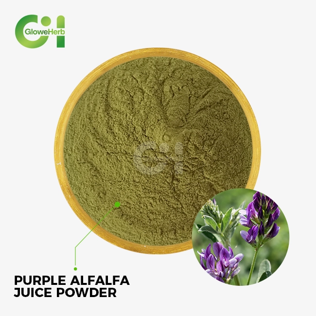 Purple alfalfa juice powder